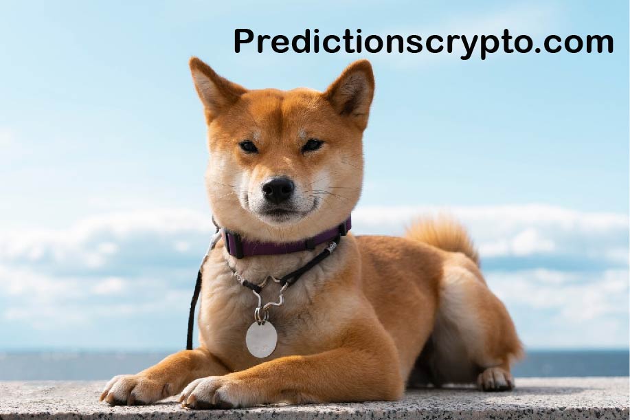 Shiba Inu Coin News